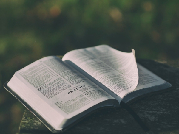bible 1846174 1280